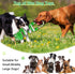Interactive Squeaky Dog Toys with Pull Rope, Large Tug of War Toy, Plush Chew Toys for Small, Medium, Big Dogs