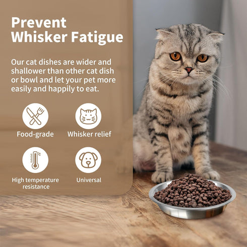 HUOIQUE 10 Pcs Stainless Steel Cat Bowls, 6.2 Inches Whisker Fatigue Cat Dishes for Food and Water