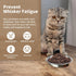 HUOIQUE 10 Pcs Stainless Steel Cat Bowls, 6.2 Inches Whisker Fatigue Cat Dishes for Food and Water