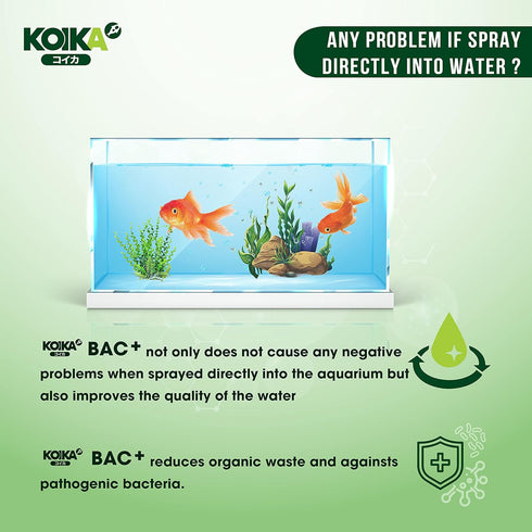 BAC+ Aquarium Probiotics, Immunity Boosting and Digestive System Improvement (BAC+, 105ml)