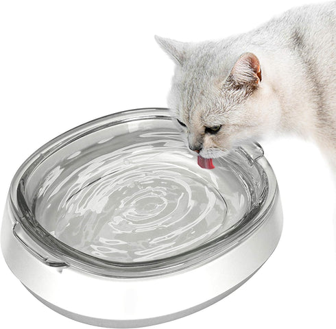 Small Glass Cat Food Bowls, Shallow Water Bowl for Cats, Kitties, and Small Dogs, Transparent Pet Feeding Bowl,