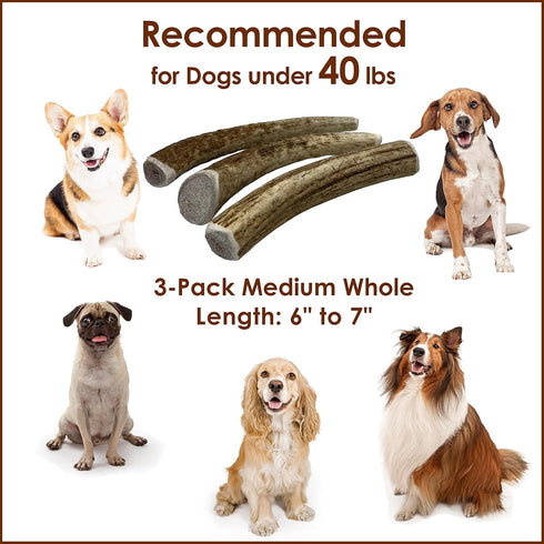 Elk Antler Chews for Dogs | Naturally Shed USA Collected Elk Antlers | All Natural A-Grade Premium Chews | 3-Pack