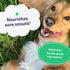 Petpost Snout Balm for Dogs, 0.64 oz - Nourishing Soother Balm with Organic Coconut Oil, Jojoba Oil, Shea Butter