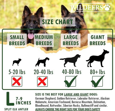Wildeers Large Split Antlers for Dogs, 3-Pack, Made in USA, Grade A Elk Chews for Medium & Large Breeds, 7-9 in Long