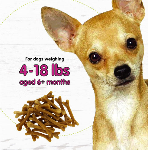 Naturals Belly Bones for Dogs, 100 Yogurt Flavor Mini Dental Treats, 100 Count, Made in USA for Extra Small Dogs