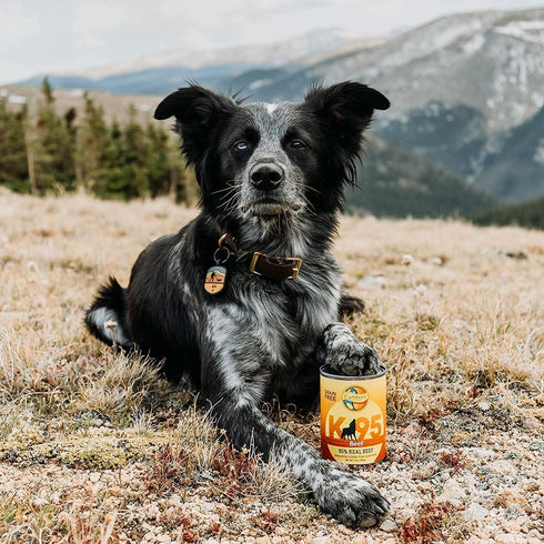 K95 13 oz Earthborn Holistic Beef Recipe Grain-Free Canned Moist Dog Food Can