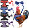 LUODAKA 4Pcs Adjustable Chicken Harness Safe Convenient Breathable Comfortable Suitable for Small Animal