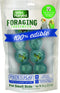 Wild Harvest Foraging Instincts Peck n’ Play Interactive Treat for Small Birds, 2 Ounce