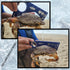 Fishernomics Crab Gauge - Blue & Silver Crab Ruler, Measuring Tool for Dungeness Crab, Rock Crab and Blue Crab