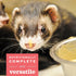 70 Oxbow Critical Care Carnivore, Made with Whole Egg & Dried Chicken, Assist Feeding Formula for Carnivores, Cat