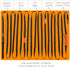 50ft Long Leash for Dogs, Heavy Duty Nylon for Training Recall/Commands at Distance, Ideal for Large & Small Breeds