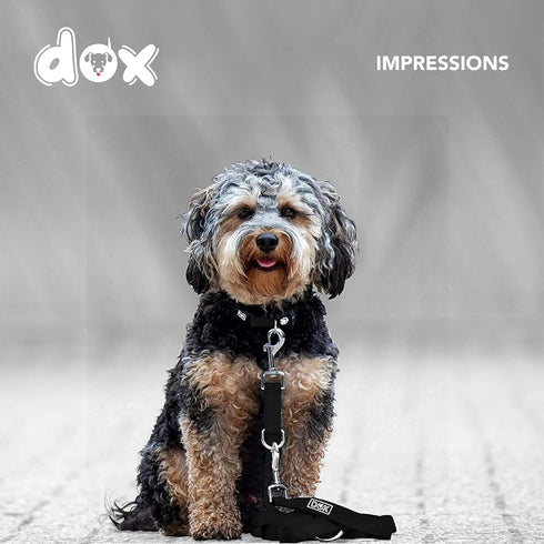 DDOXX 6.6 ft Nylon Dog Leash, 3-Way Adjustable for Dogs - XS (Black), Red