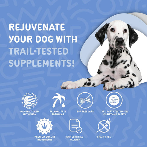 Calm with Melatonin - Calming Chews for Dogs to Manage Stress & Anxiety Relief (60 Chews)