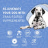 Calm with Melatonin - Calming Chews for Dogs to Manage Stress & Anxiety Relief (60 Chews)
