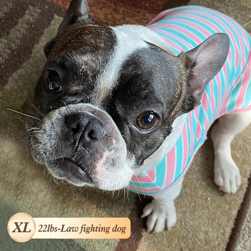 KYEESE Striped Dog Shirts 2-Pack, Soft Cotton Tank Top Clothes for Small Dogs, Lightweight Sleeveless, X-Large,