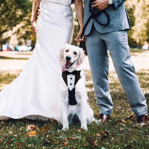 Adjustable Dog Tuxedo Bandana Collar with Bowtie for Small Medium Large Boy Dogs, Wedding Grooming Gift (Medium, Black)