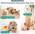 MARDOGE Breeds,Frozen Anxiety(Pack 2) Multi-Functional Interactive Dog Toys for Aggressive Chewers, Indestructible Dog