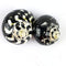 Worlds 2pc Turbo Shells,Polished Meg Pie Hermit Crab Shells 2" Inch-2-3/4 Inch