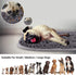 17'' 21'' Snuffle Mat for Dogs, x Dog Sniffing Interactive Feeding Game Boredom, Puzzle Toys Encourages Natural