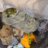 kathson Turtle Basking Platform with Suction Cup, Tortoise Climbing Rest Terrace for Reptile Habitat Rock Decor (L)