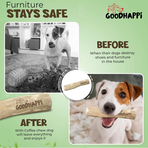 Safe Natural Coffee Wood Dog Chew - Durable Chew Toys for Puppies 0-6 Months, Pack of 2 PCS, Perfect Teething Stick