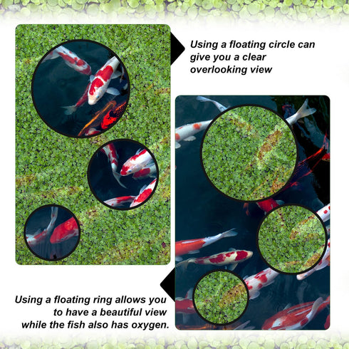 5pcs Aquarium Floating Plant Rings, 5 Sizes Foam Fish Feeding Rings for Keeping Floating Plants in Place, Black
