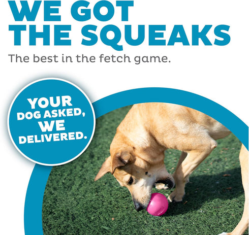 Outward Hound Orbee-Tuff Squeak Ball - Pink Dog Fetch Toy