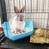 kathson Rabbit Litter Box, Pet Toilet Cage with Small Animal Cleaner Broom Brush Dustpan for Bunny