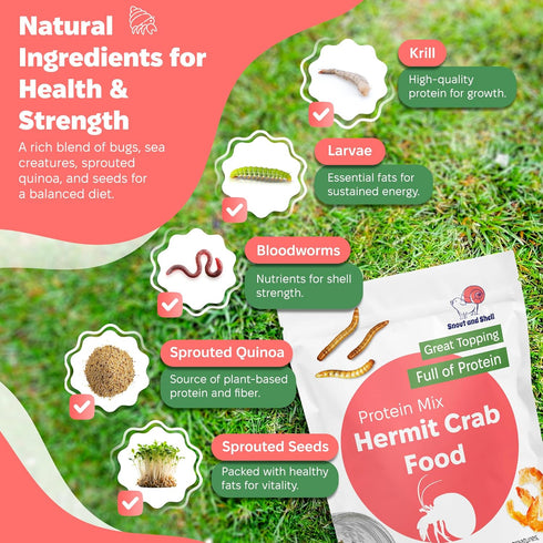 Pack Summer Sunset Snout and Shell Hermit Crab Food Variety Blue Waves, Protein Mix & High-Protein Whole Food Diet