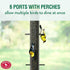 Patented Upside Down Thistle Feeder, Perky-Pet 399