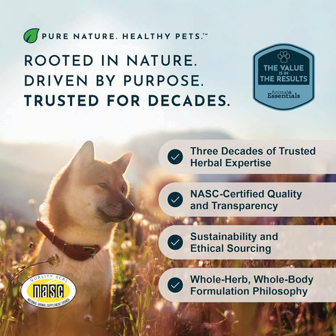 100% 1 oz Animal Essentials Seasonal Allergy Treatment for Dogs - Liquid Herbal Support for Dogs & Cats, Wellness