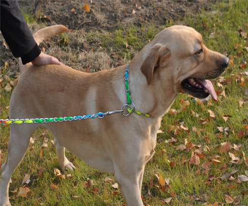 Rainbow Color Stainless Steel P Chock Metal Chain Training Dog Collars for Small Medium Large Dogs