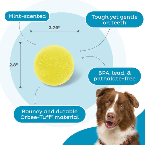 Outward Hound Orbee-Tuff Squeak Ball, Yellow Dog Fetch Toy