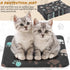 4 Pack Ultra Soft Dog Cat Bed Mat, Cozy Washable Thickened Pet Bed for Small Animals (Black, 13 x 19)