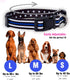Thin Blue Line Dog Collar by Native Pup, Stars Design for Medium Dogs