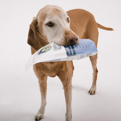 Under the Weather Easy to Digest Bland Diet for Sick Dogs, Gluten Free, Freeze Dried Turkey, Rice & Sweet Potato