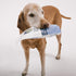 Under the Weather Easy to Digest Bland Diet for Sick Dogs, Gluten Free, Freeze Dried Turkey, Rice & Sweet Potato