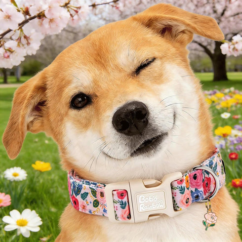 Dog Collars, Spring Blue Floral Print Pet Collar Holiday Light Pink Durable Adjustable Pendant Gift Collar with Quick