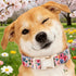 Dog Collars, Spring Blue Floral Print Pet Collar Holiday Light Pink Durable Adjustable Pendant Gift Collar with Quick