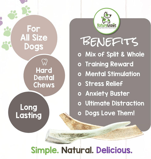 Nature Gnaws Antlers for Dogs (1Lb) - Mix of Elk and Deer Antler - Variety of Split and Whole Pieces for Aggressive