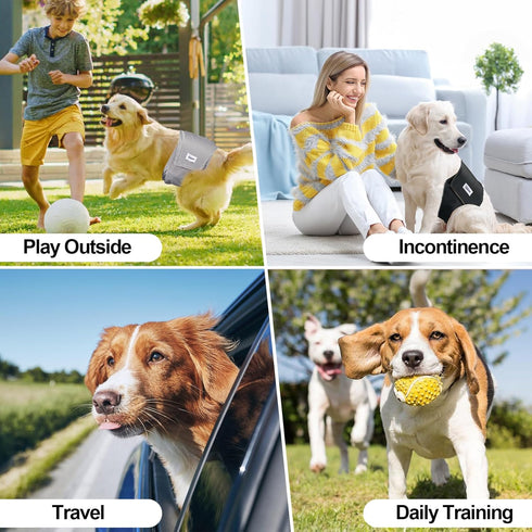 Pack 3, Washable Male Dog Diapers Reusable, Premium Belly Bands for Male Dogs, of High Absorbing Extra Extra Large Male