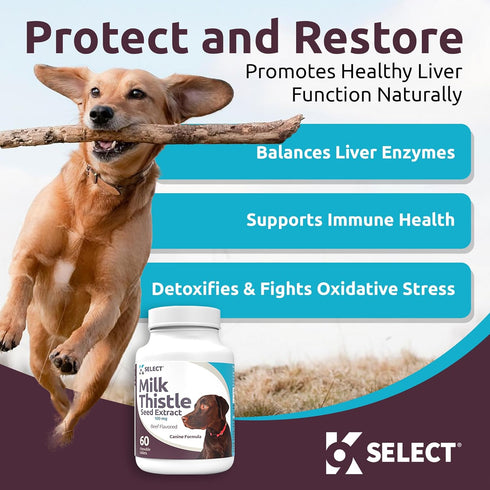 K9 Select Milk Thistle for Dogs, 100mg - 60 Beef Flavored Tablets for Canine Liver Health Supplement