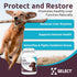 K9 Select Milk Thistle for Dogs, 100mg - 60 Beef Flavored Tablets for Canine Liver Health Supplement