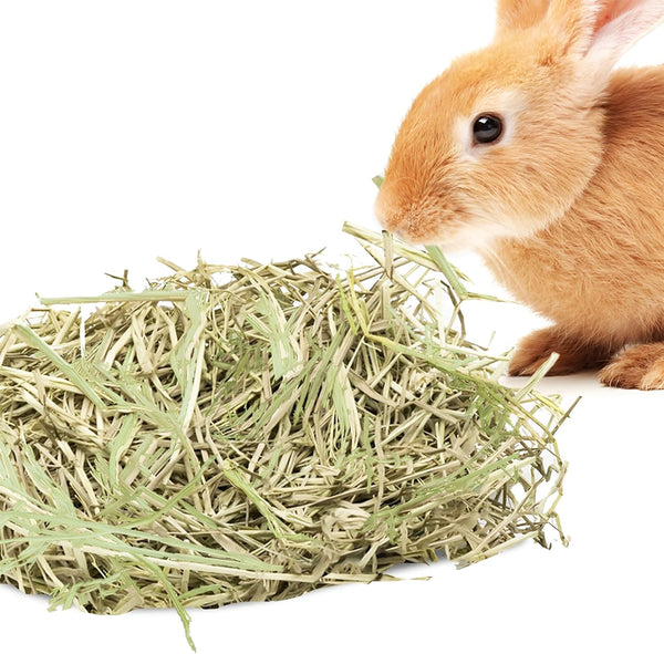 SunGrow Timothy Food, Ideal for Rabbits, Guinea Pigs, and Chinchillas, High-Fiber Hay