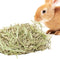 SunGrow Timothy Food, Ideal for Rabbits, Guinea Pigs, and Chinchillas, High-Fiber Hay