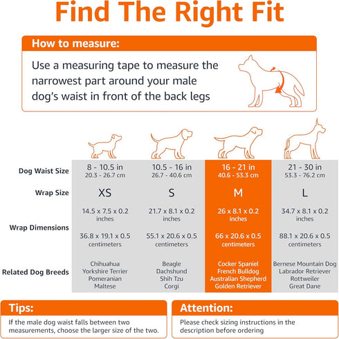 50 Count Amazon Basics Male Dog Diapers, Super Absorbent Disposable Wrap with Leak-Proof Protection, Wetness Indicator