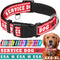 TECEUM Reflective Pet Collar - Red, XS Service Dog Collar with Extra Soft Padding, Quick Release Buckle