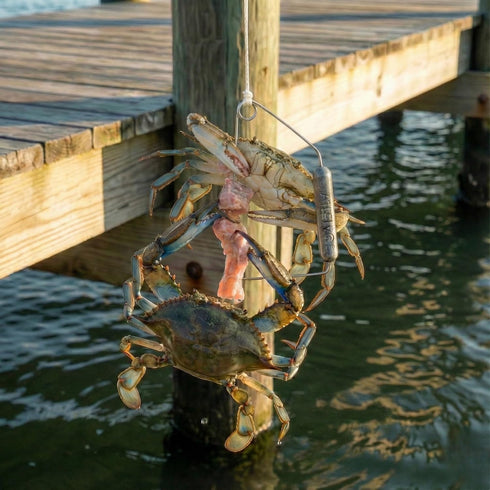 30ft Airfly Blue Crab Throw Line Kit - Cotton Hand Line with Heavy Sinker - Chicken Necking Drop Line for Pier, Dock
