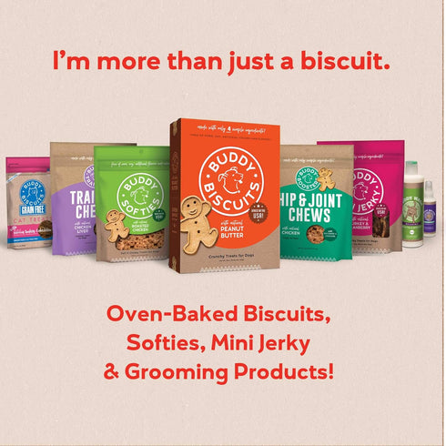 Buddy Biscuits Softies Dog Treats, Grain-Free, Natural Grilled Beef Flavor, 5 oz Pouch, Oven Baked