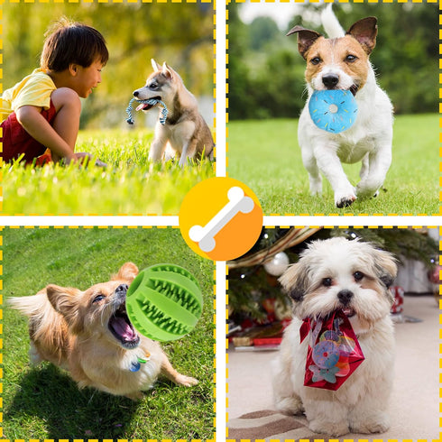 Zeaxuie 14 Pack Puppy Toys - Teething Chew Toys with Cute Squeaky Toys, Balls, and Rope Chew Toys for Small Dogs